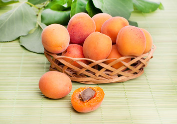 Similar image 5601219