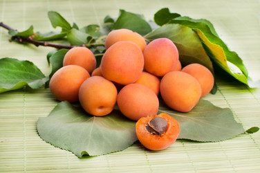 Similar image 5601221