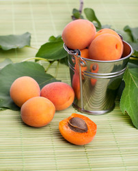 Similar image 5601224