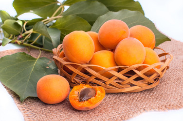 Similar image 5601226