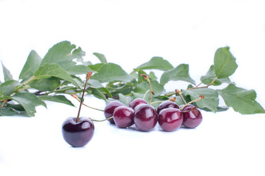 Similar image 5601228