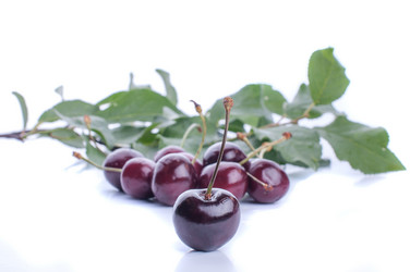 Similar image 5601234