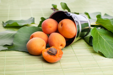 Similar image 5601235