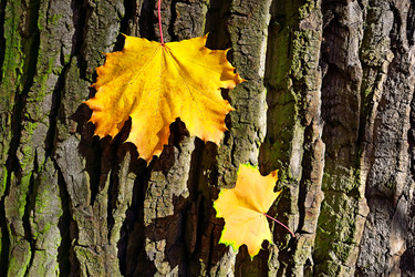 Similar image 5601272