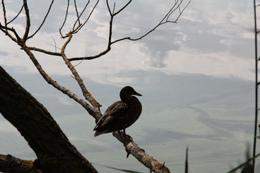 Similar image 5601283