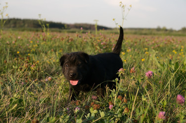 Similar image 5601309