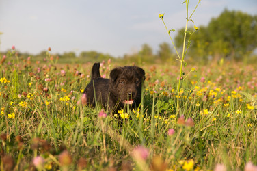 Similar image 5601311