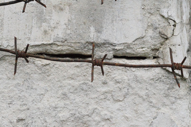 Similar image 5601348