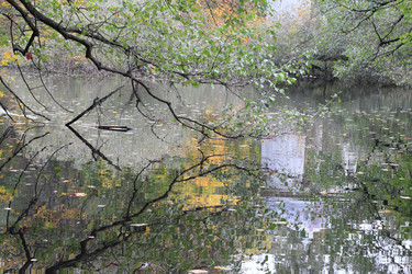 Similar image 5601351