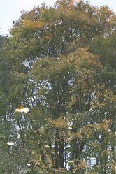 Similar image 5601352