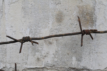 Similar image 5601353