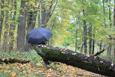 Similar image 5601355