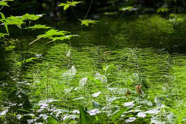 Similar image 5601360