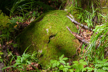 Similar image 5601361