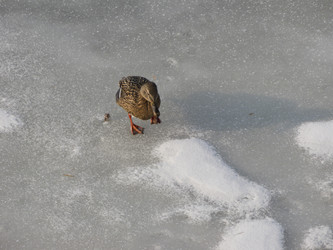 Similar image 5601363