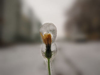 Similar image 5601373