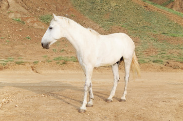 Similar image 5601396