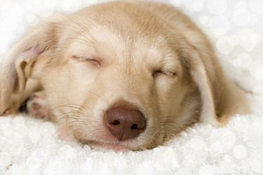 Similar image 5601397