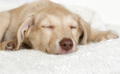 Similar image 5601398