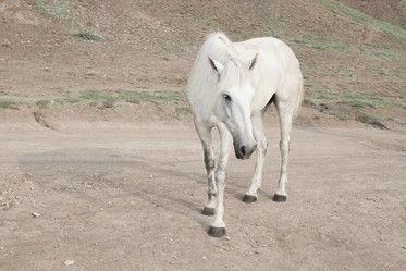 Similar image 5601402