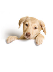 Similar image 5601404