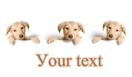 Similar image 5601405