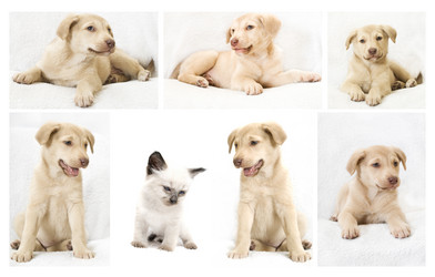 Similar image 5601406