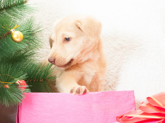 Similar image 5601418