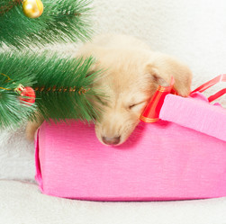 Similar image 5601420