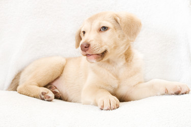 Similar image 5601423