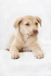 Similar image 5601425