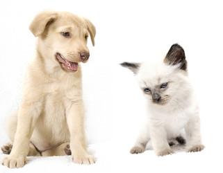 Similar image 5601426