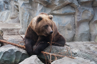 Similar image 5601429