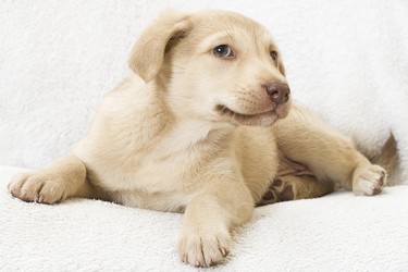 Similar image 5601431