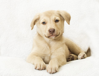 Similar image 5601432