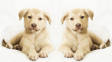 Similar image 5601433