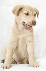 Similar image 5601434