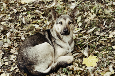 Similar image 5601435