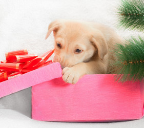 Similar image 5601448