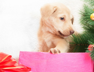 Similar image 5601449