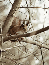 Similar image 5601450