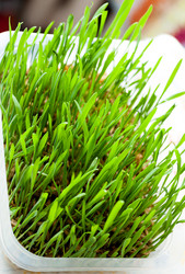 Similar image 5601568