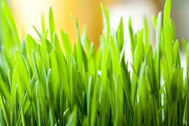 Similar image 5601576