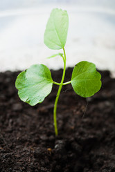 Similar image 5601579