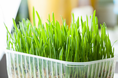 Similar image 5601584