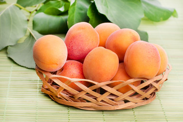 Similar image 5602040