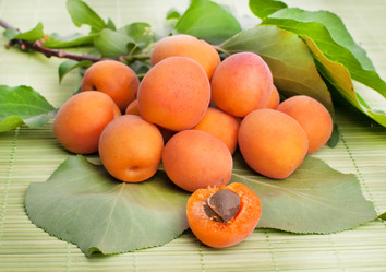 Similar image 5602043