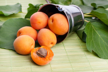 Similar image 5602045