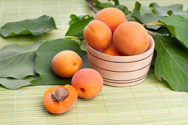 Similar image 5602046