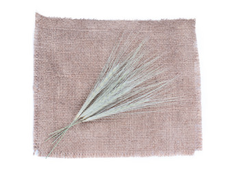 Similar image 5602053